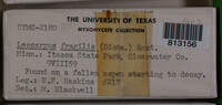 Image Associated With the Occurence